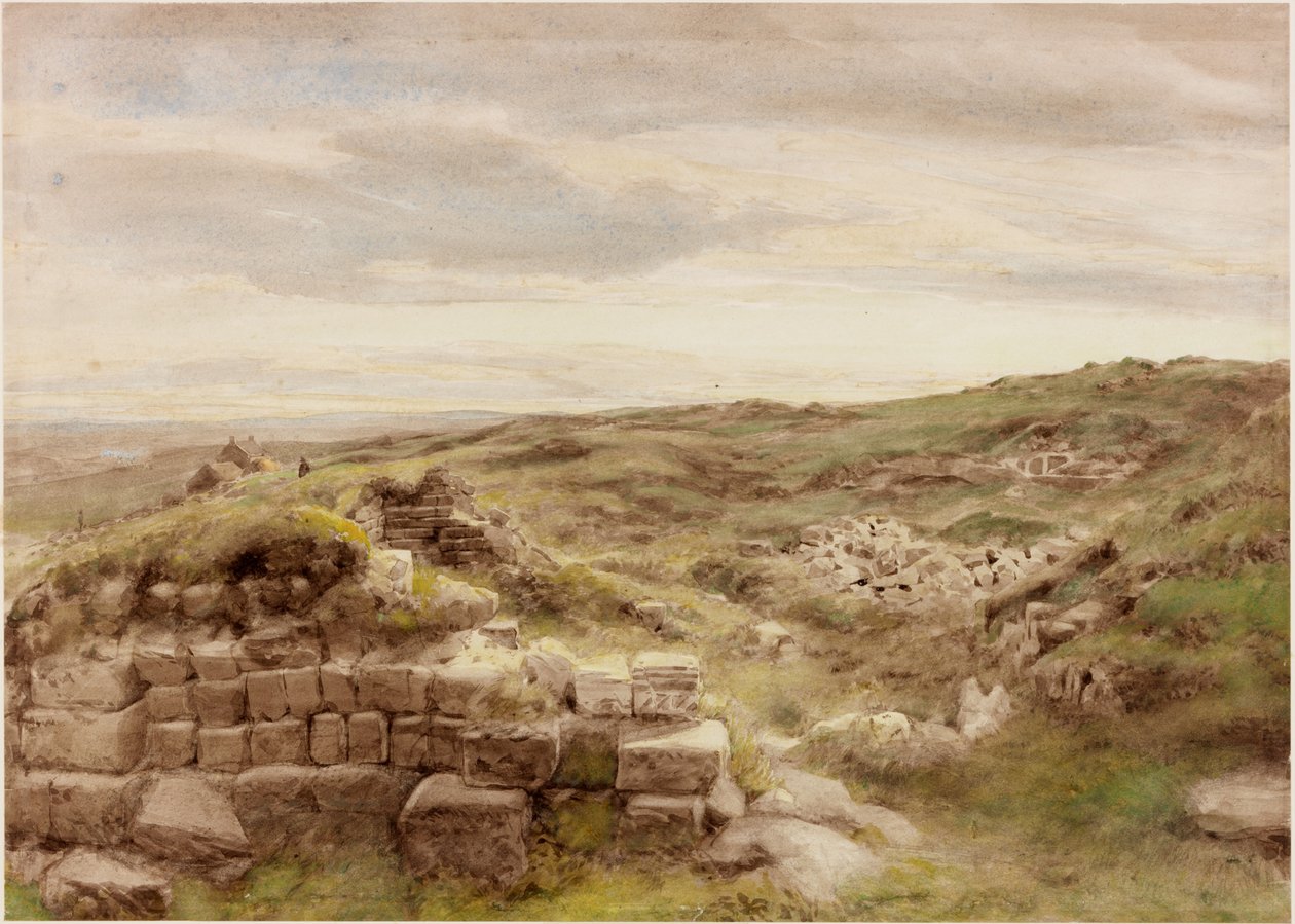 Ev eşyaları (gövde rengi) by Henry Burdon Richardson