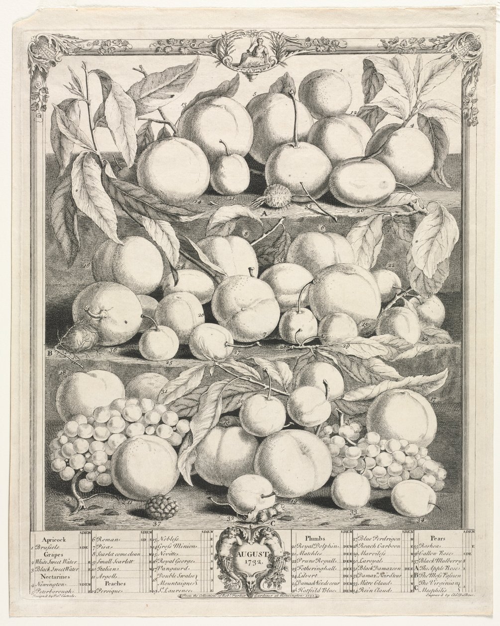 On İki Aylık Meyve: Ağustos 1732. by Henry Fletcher