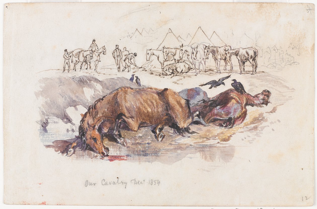 'Süvarilerimiz, Ölü Atlar' by Henry John Wilkinson