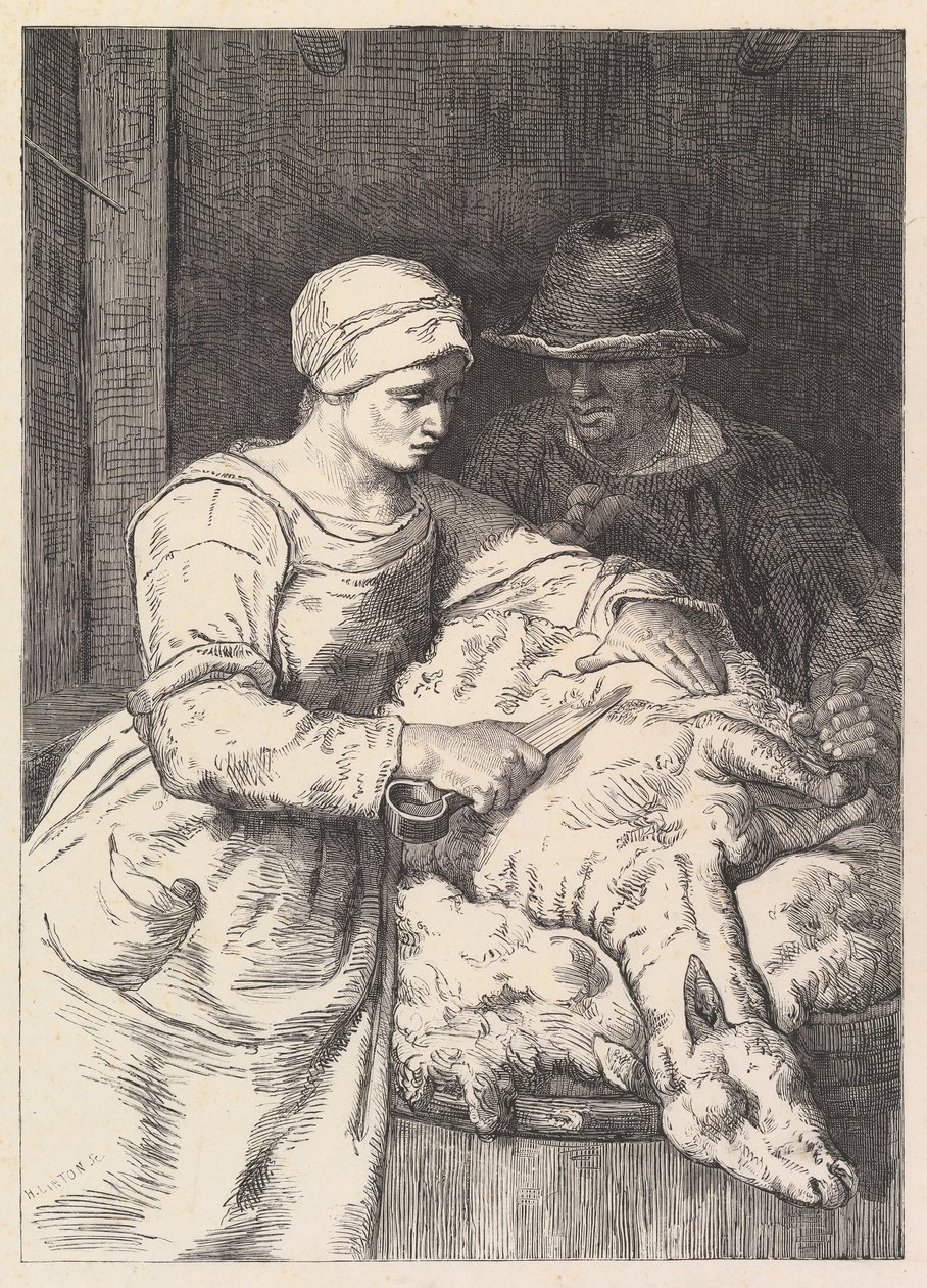 Sheepshearer, 19. yüzyıl. by Henry Linton