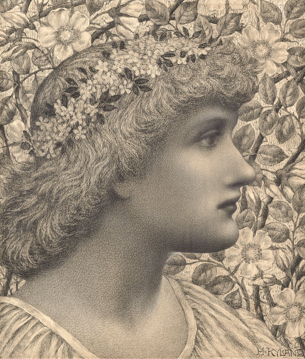 Florimel (kağıt üzerine kalem ve tebeşir) by Henry Ryland