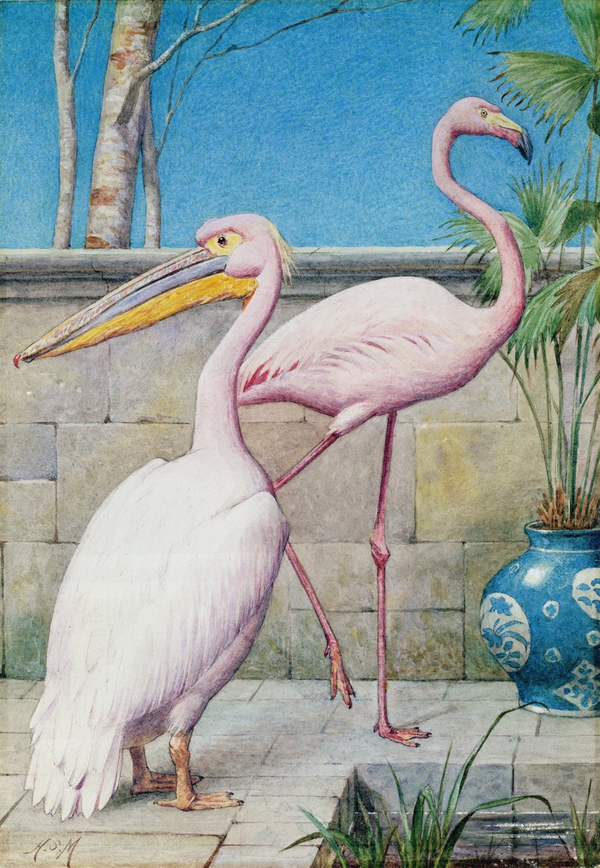 Pelikan ve Flamingo (wc) by Henry Stacey Marks