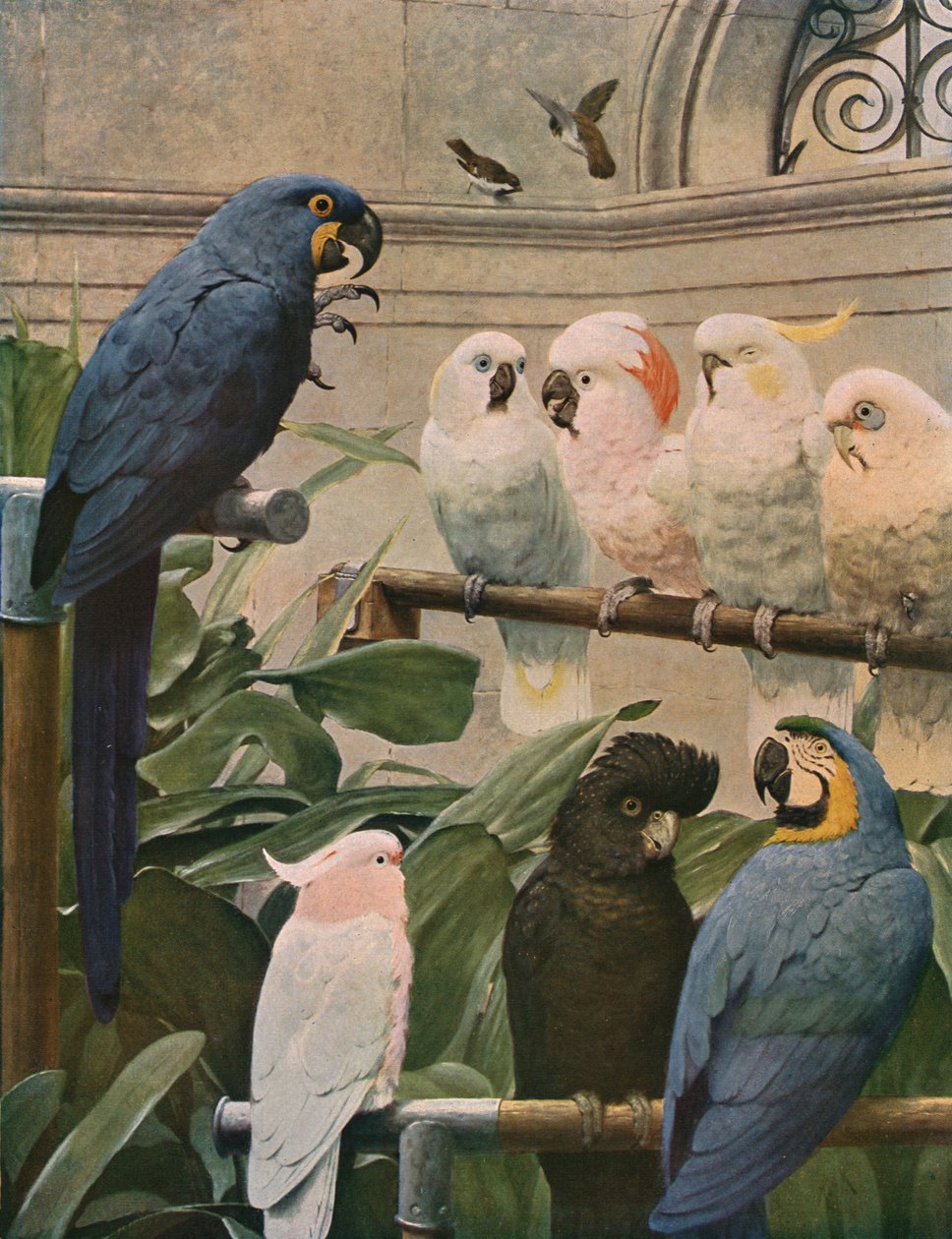 Seçilmiş Komite, 1891, c1930. by Henry Stacey Marks