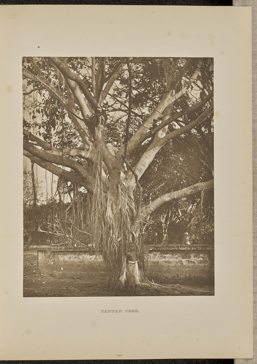  by Henry W. Cave