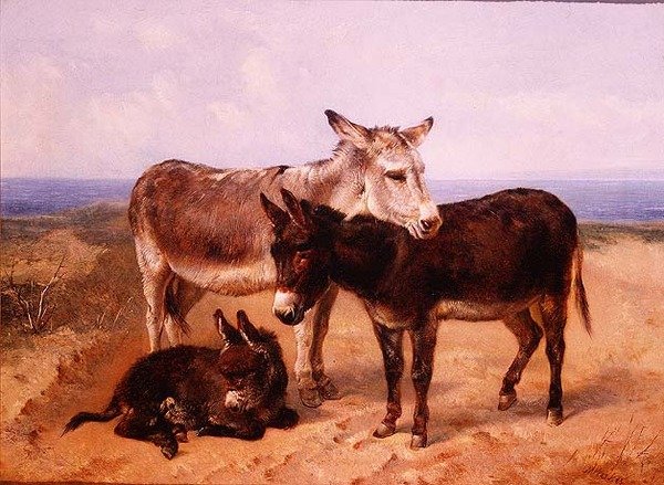 kum eşek by Henry Weekes
