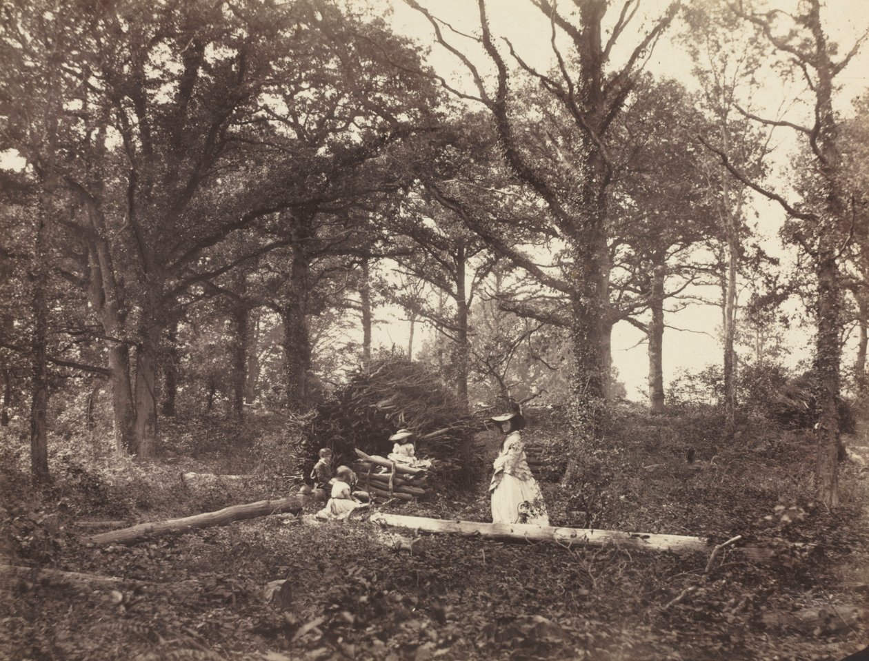 Manzara, 1856. by Henry White