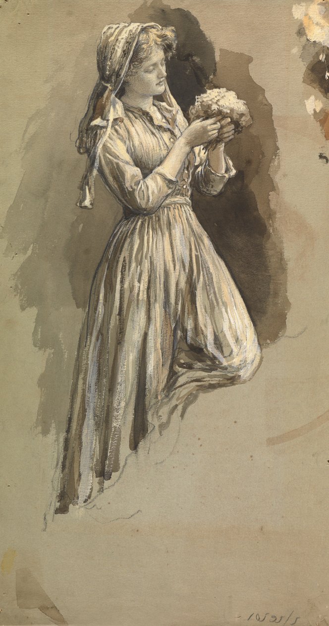 Posy ile Kız (kalem ve mürekkep ve kağıt üzerinde yıkayın) by Herbert Thomas Dicksee