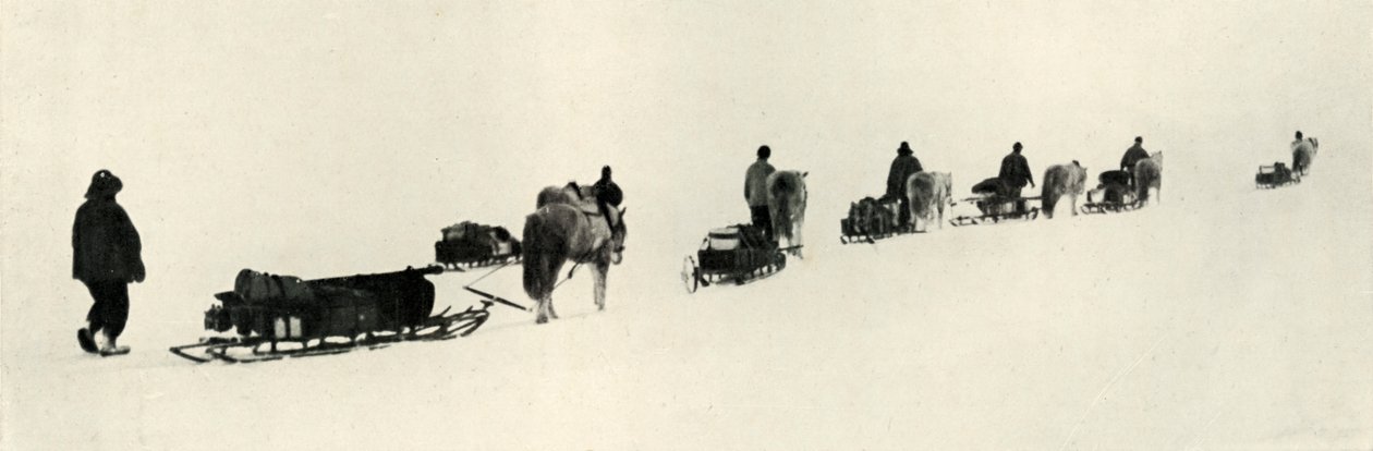 Mart 1911, 1913
