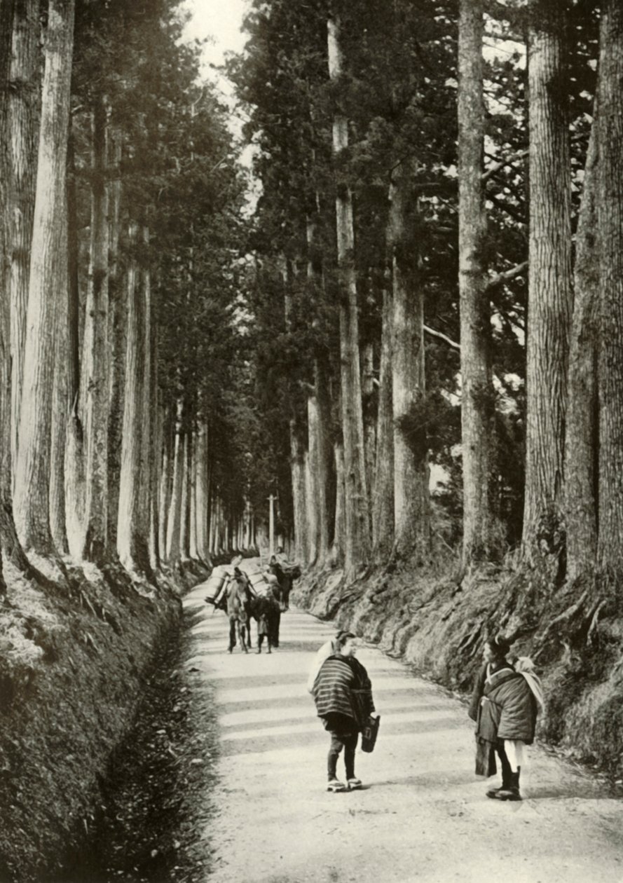 Nikko