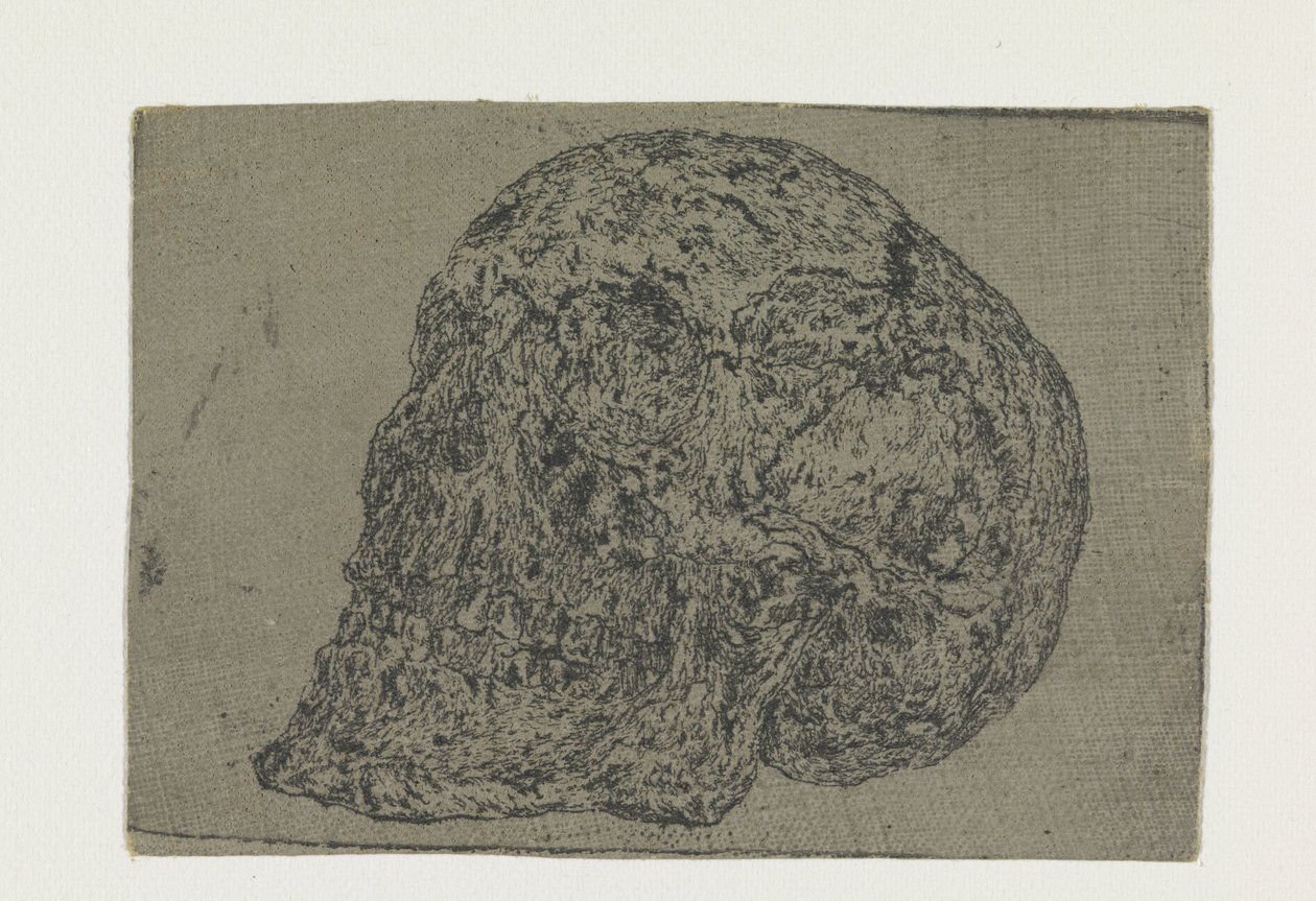 Kafatası by Hercules Segers