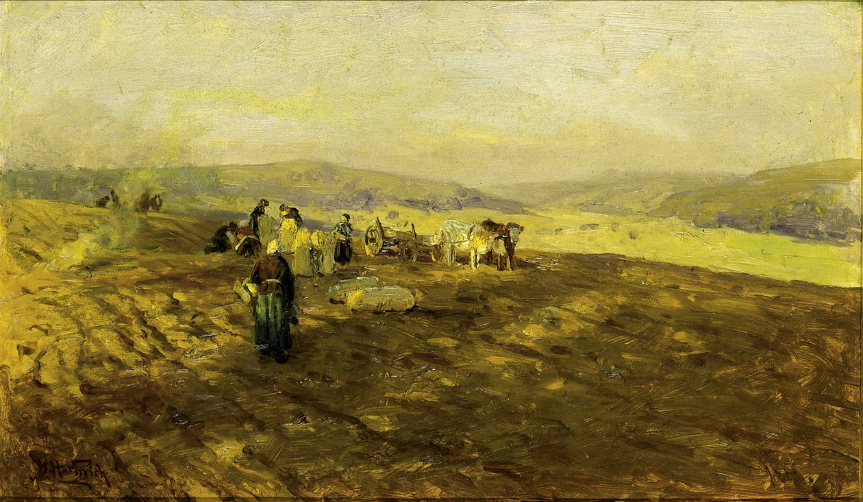 Patates Toplayıcılar, n.d. by Herman Hartwich