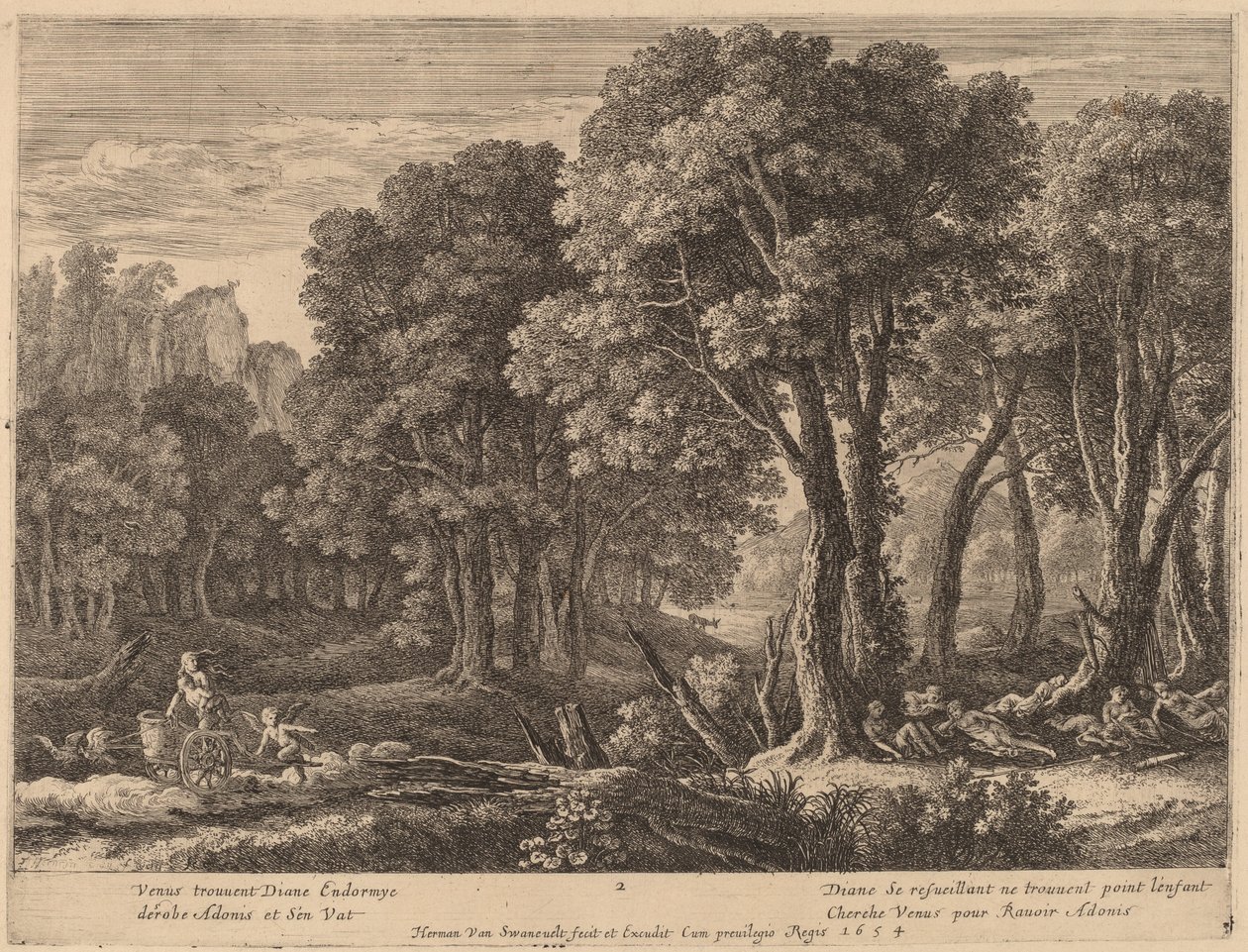 Venüs Adonis