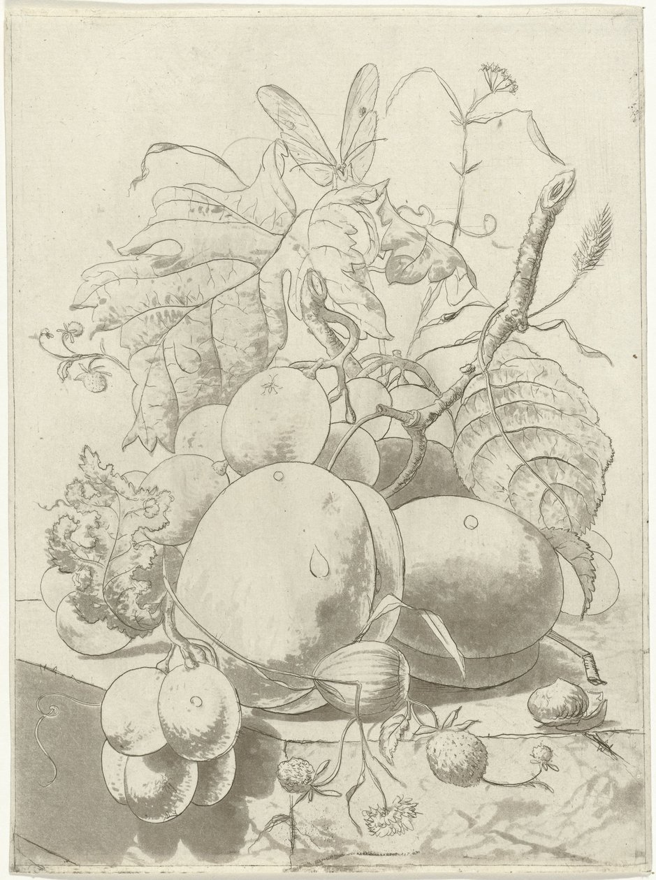 Meyveler ve kelebekli bir dal by Hermanus Fock