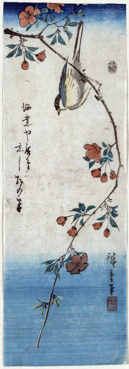 Kaido Nishokin (Kaidozakura