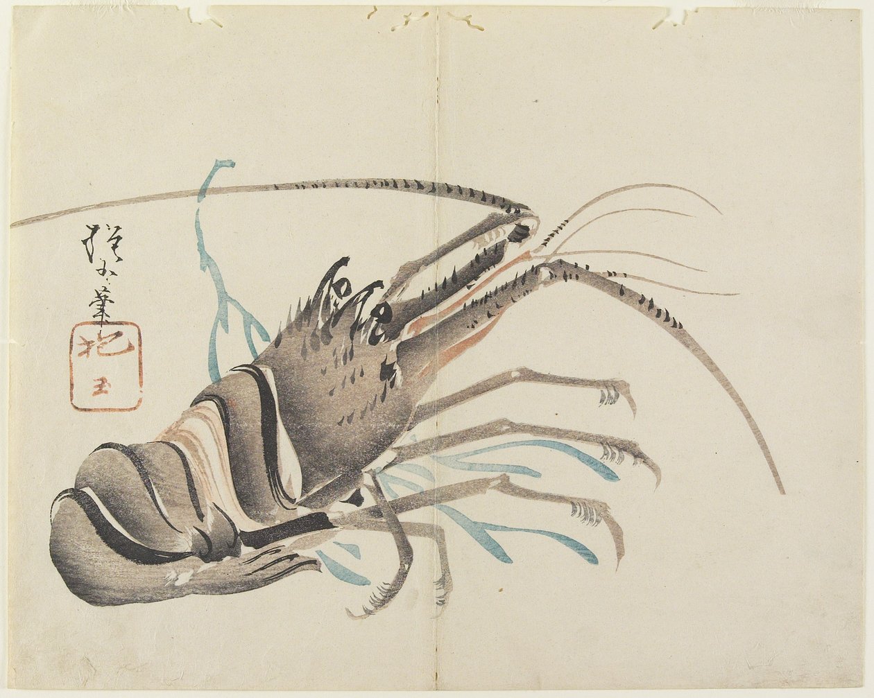 (ಕ್ರೇಫಿಶ್), ಸಿ. 1830 ಟರ್ಕಿ by Hogyoku