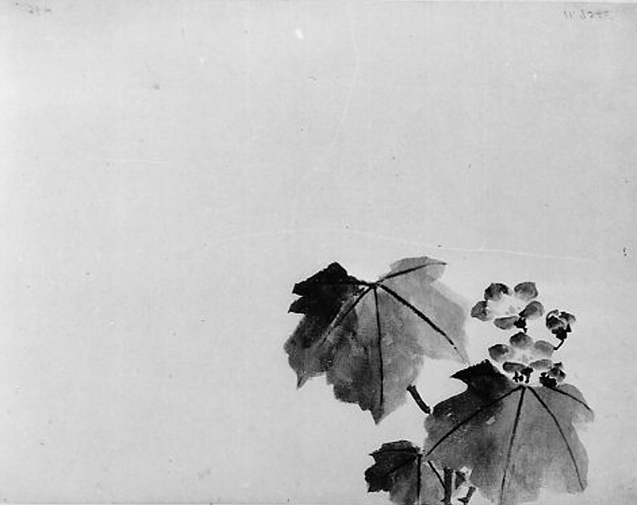 Çan çiçeği, 19. yüzyıl. by Hokusai School.
