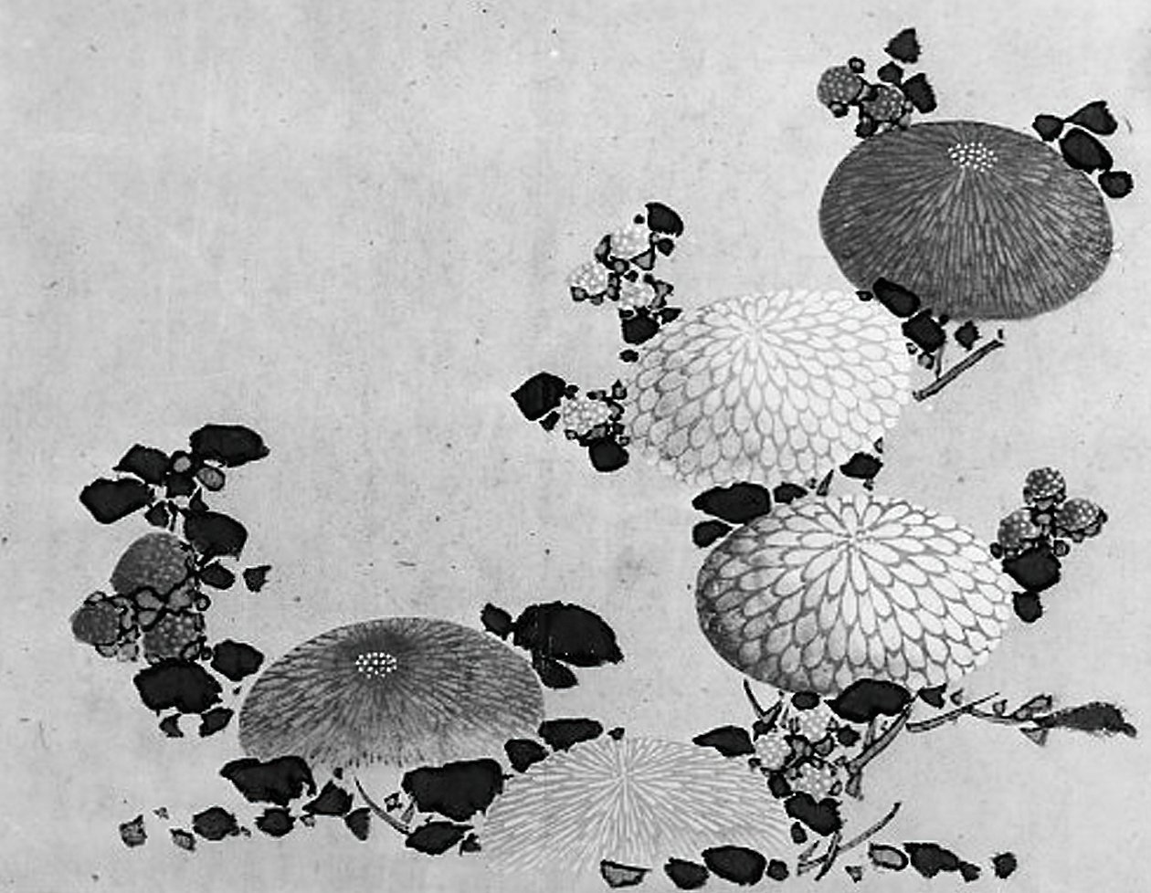 Krizantemler, 19. yüzyıl. by Hokusai School.