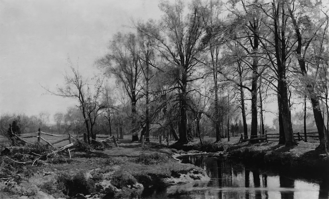 Bahar, 1885-86. by Hugh Bolton Jones