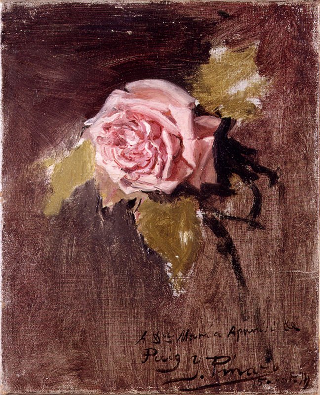 bir gül by Ignacio Pinazo Camarlench