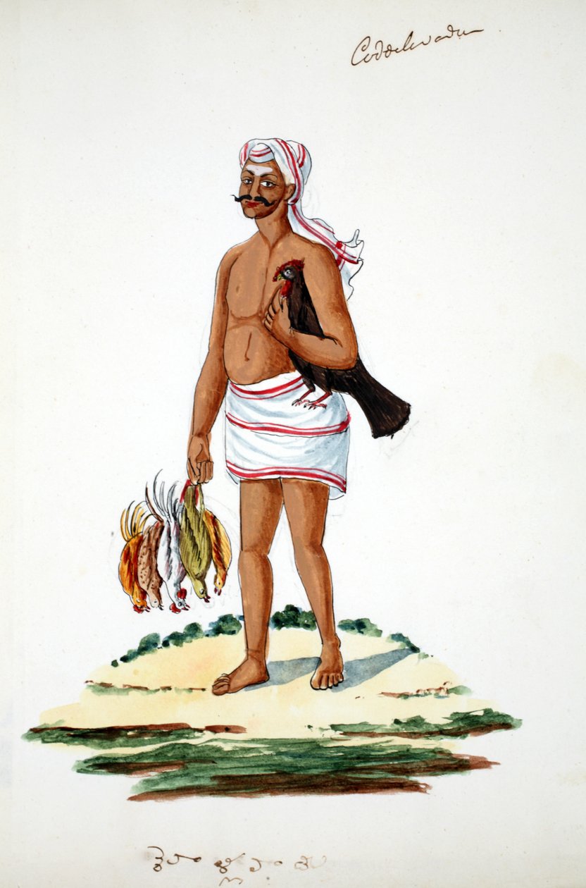 Tavuklu çiftçi (kağıt üzerinde wc) by Indian School