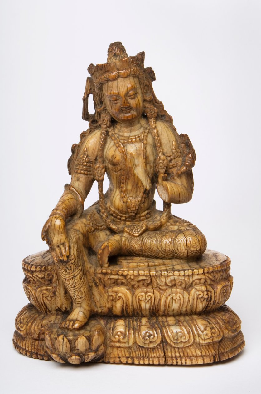 Tara