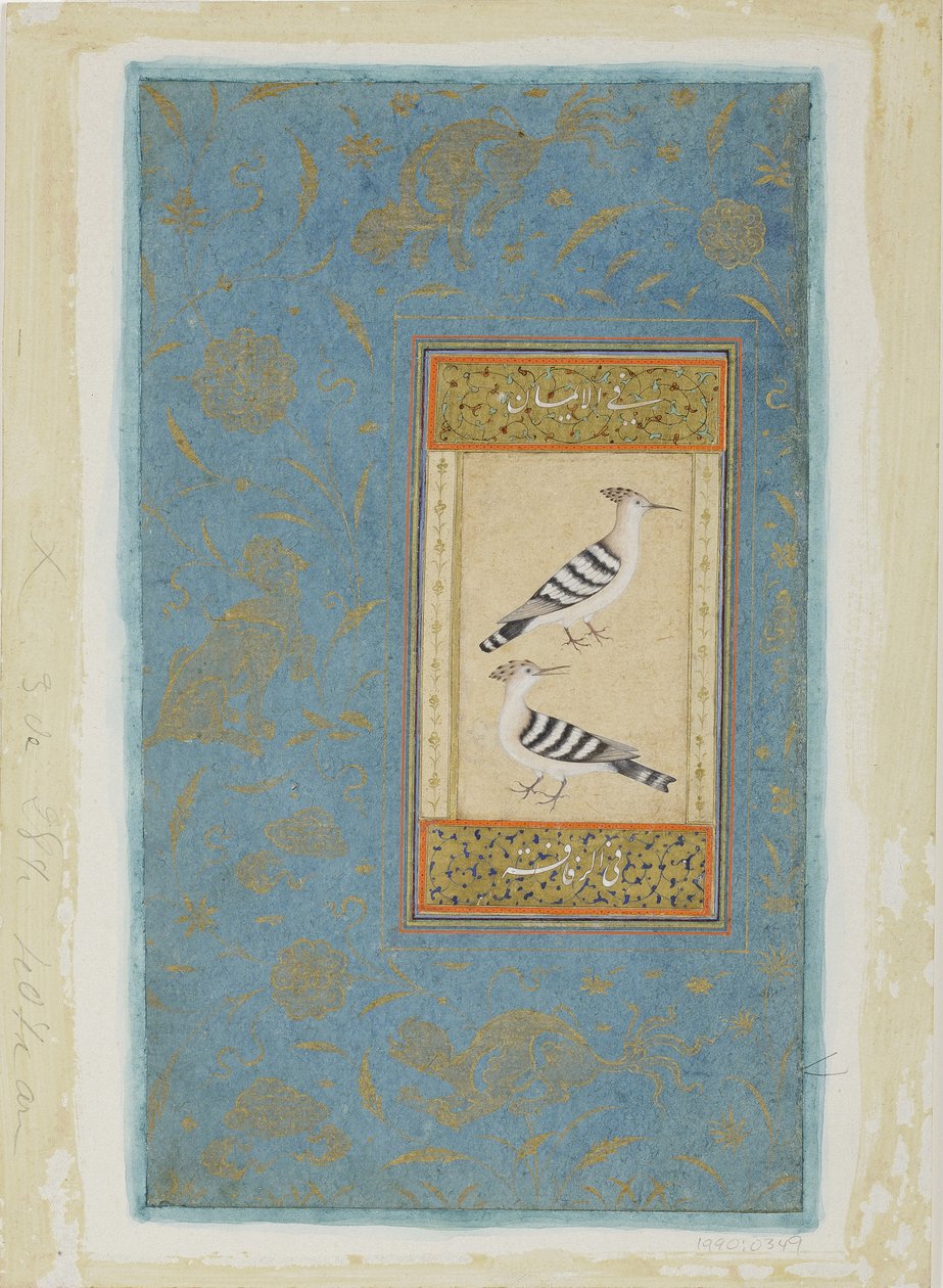 Hoopoes, c.1590 (kağıt üzerinde opak wc ve altın) by Indian School