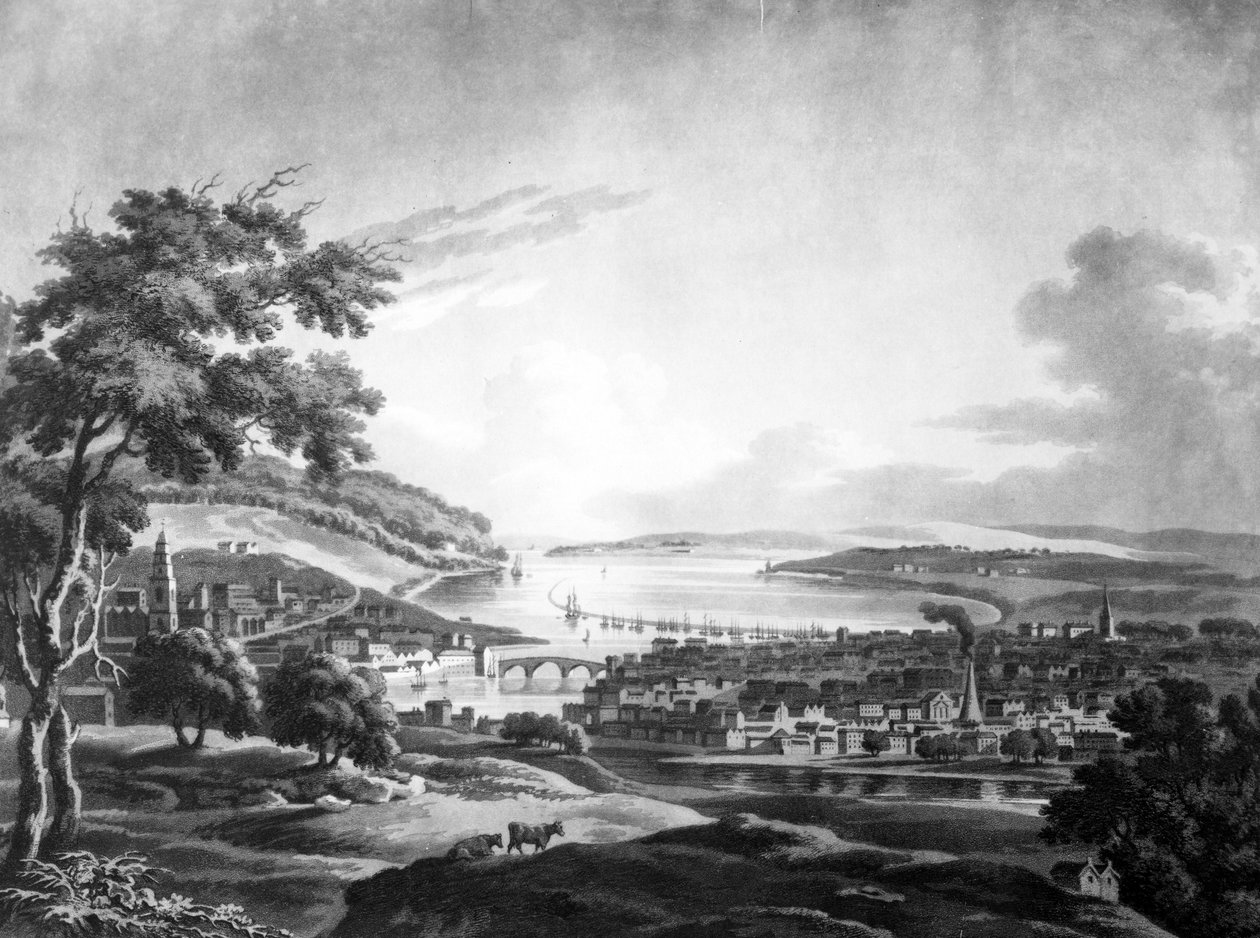 Cork Şehri, 1799 (mezzotint) by Irish School