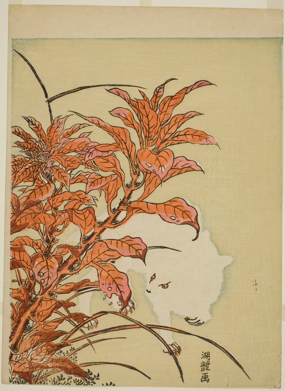 Beyaz Tavşan ve Amaranth by Isoda Koryusai