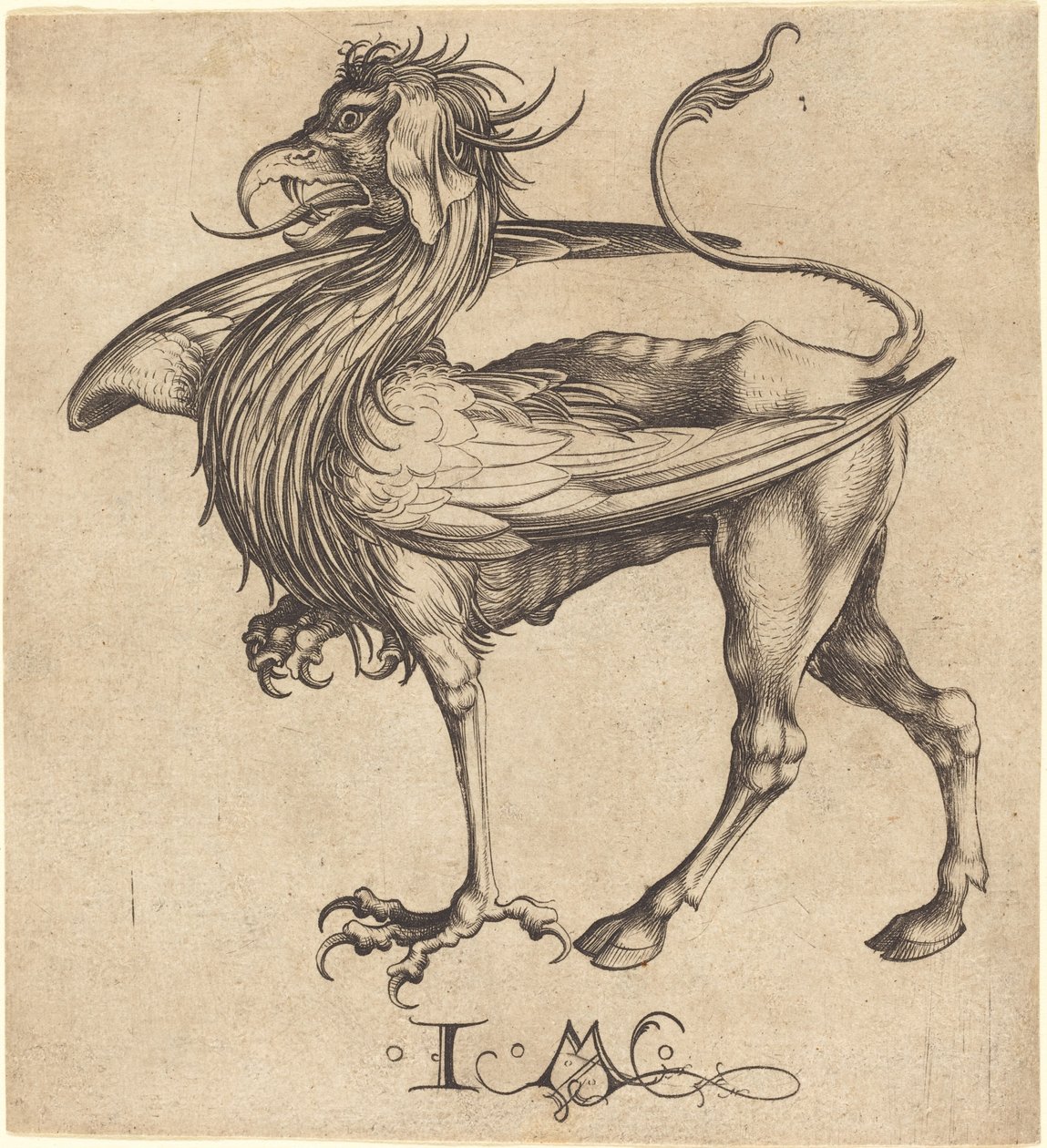 Griffin by Israhel van Meckenem after Martin Schongauer