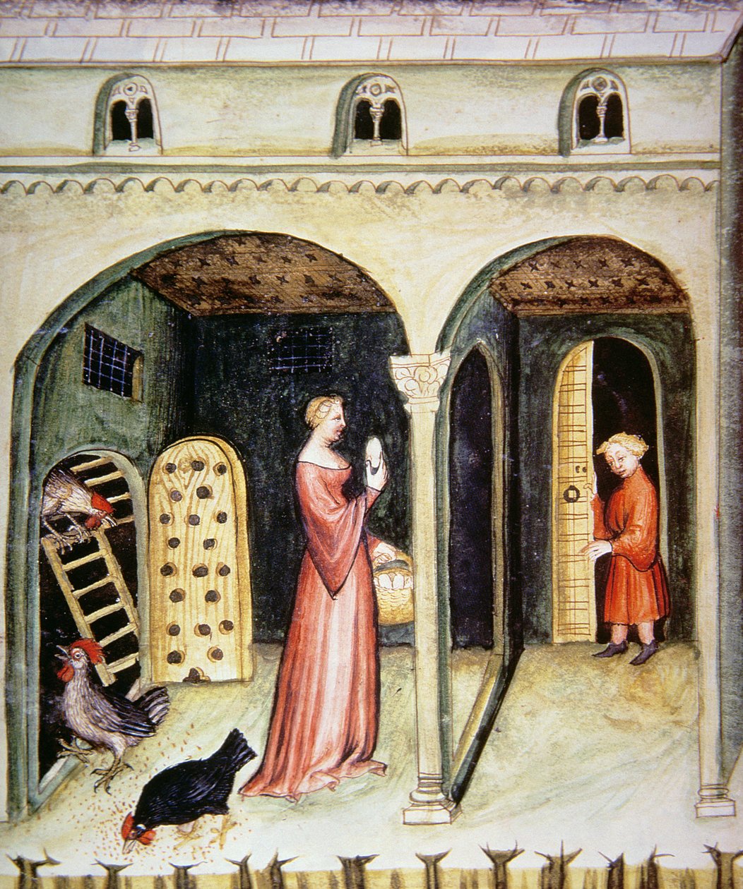 Fol.65v Tavuk Yetiştirme, Tacuinum Santiatis Codex Vindobonensis