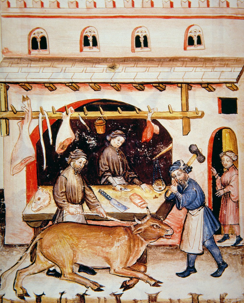 Fol.73v Kasaplar: Dana eti, Tacuinum Santiatis Codex Vindobonensis