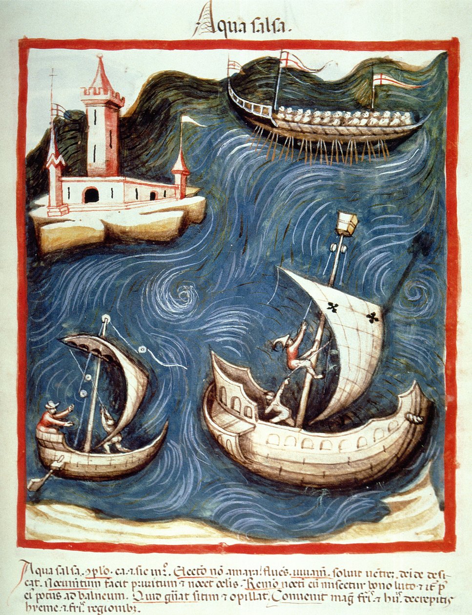 Nova 2644 f.88r Denizde Tekneler, Tacuinum Santiatis Codex Vindobonensis