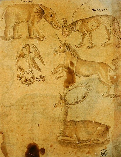 Hayvanlar (kalem, mürekkep ve kağıt üzerinde yıkama) by Italian School