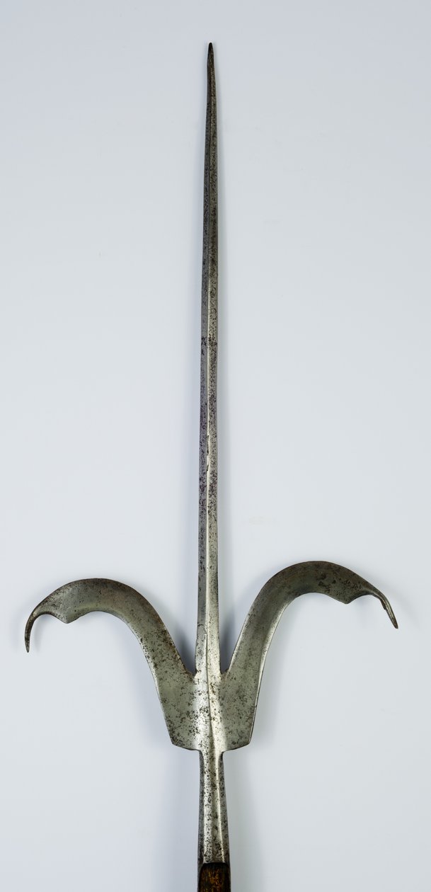 Friuli Spear, c.1600 (çelik ve ahşap) by Italian School
