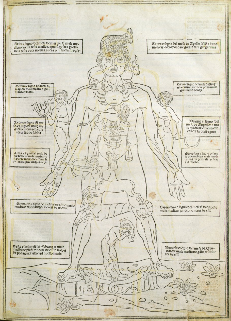'Fassiculus Medicinae' Venedik'ten bir çizim by Italian School