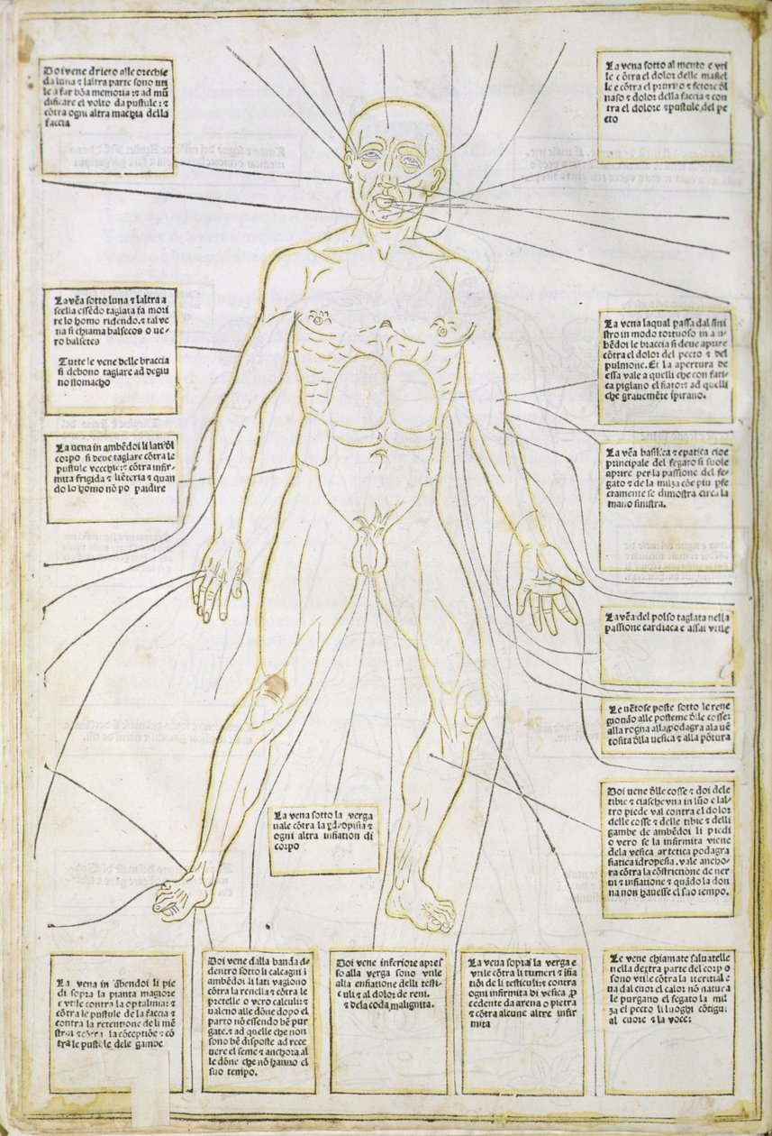 'Fassiculus Medicinae' Venedik'ten bir çizim by Italian School