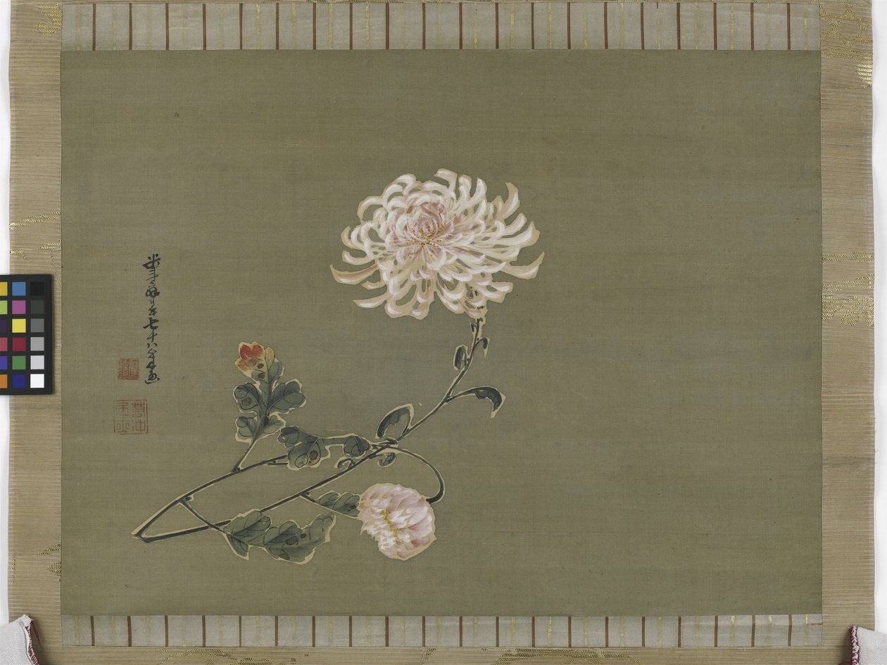 Krizantem, Edo Dönemi, 1791 (ipek üzerine mürekkep ve renk) by Ito Jakuchu