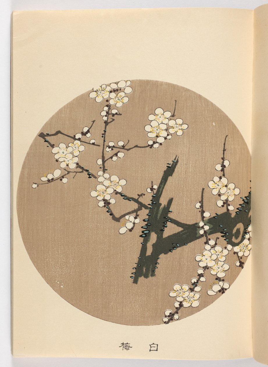 Zayıf ch? Negatif, Meiji Ella, 1908 (DBock p Hayashi t) by Ito Jakuchu