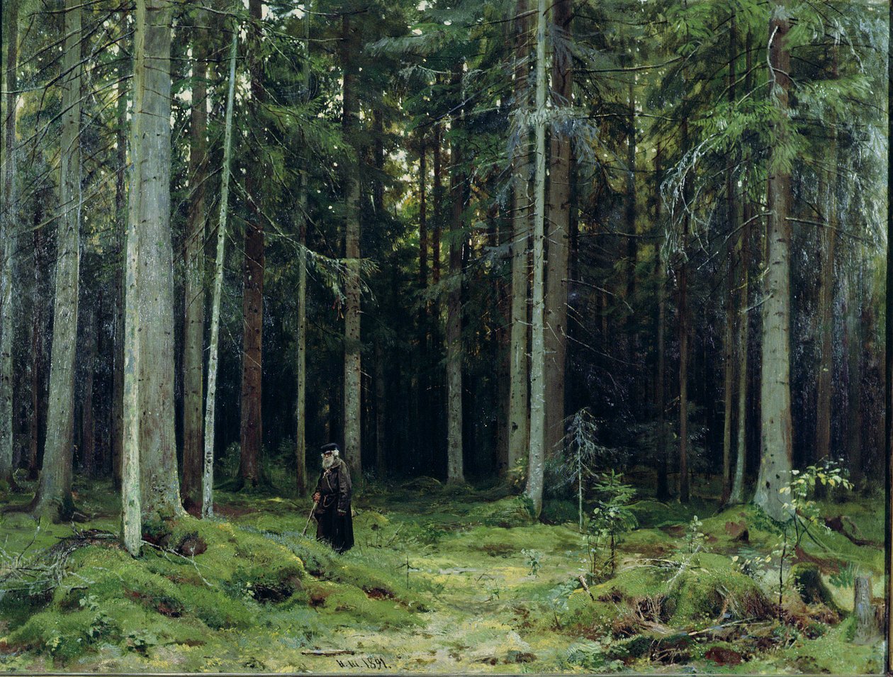 Kontes Mordvinov