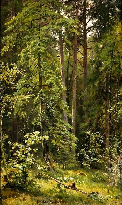 Bir orman. by Ivan Ivanovich Shishkin