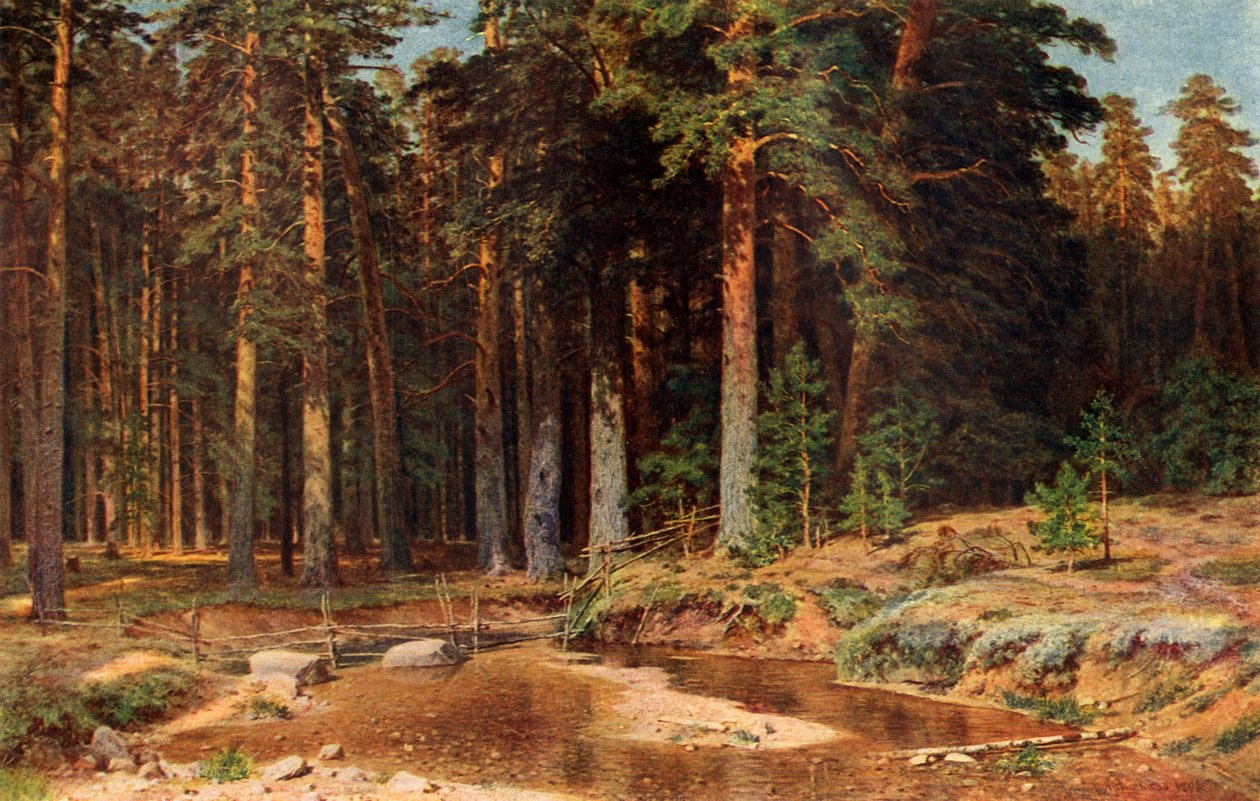 Bir Çam Korusu, 1898, 1939. by Ivan Ivanovich Shishkin