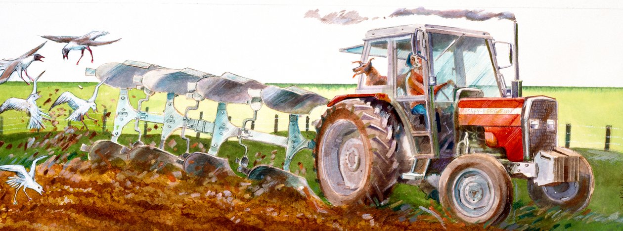 çiftçilik, c2010 by Ivan Lapper
