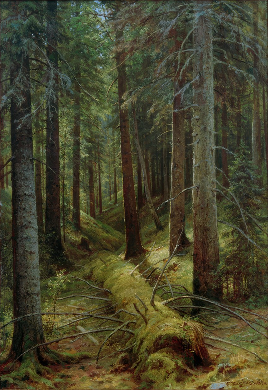Rus ormanında by Ivan Ivanovich Shishkin