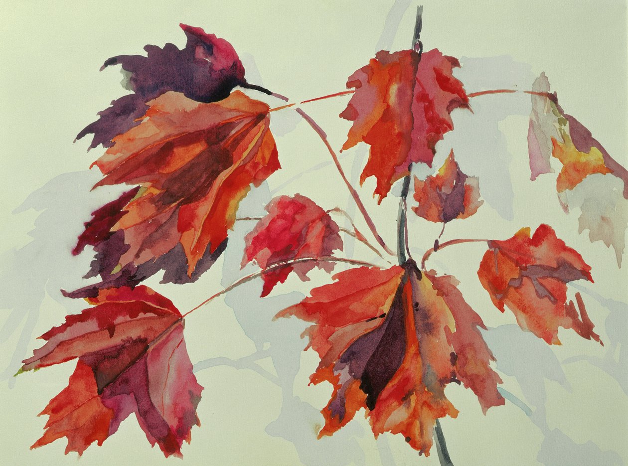 No.24 Sonbahar Akçaağaç Yaprağı (wc) by Izabella Godlewska de Aranda