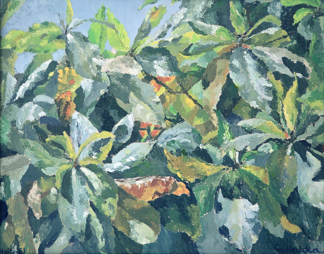 Bitkiler, 1961 by Izabella Godlewska de Aranda