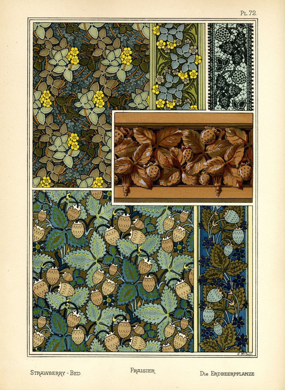 Çilek-Yatağı by J. Milesi
