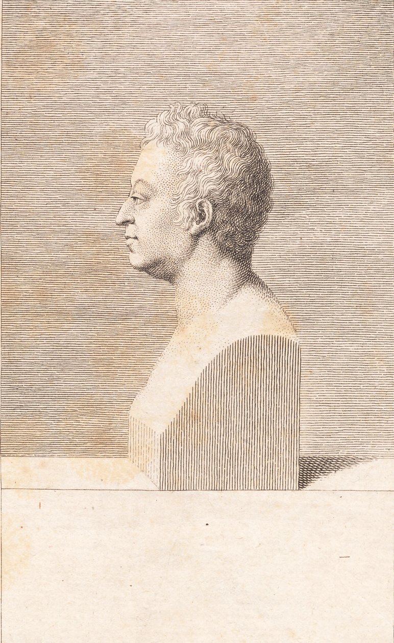 Bir erkek büstü by J.F. Clemens
