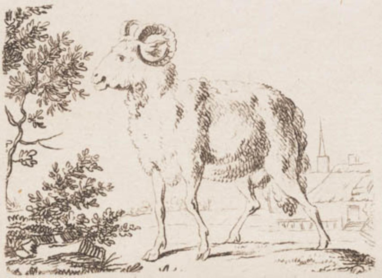 bir koç by J.F. Clemens