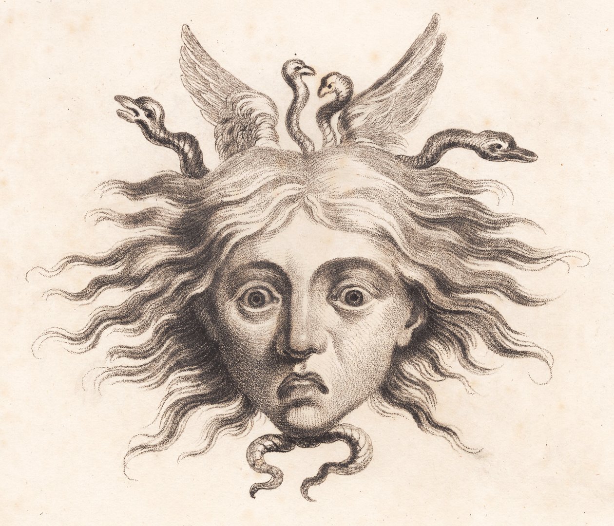 Medusasevdim by J.F. Clemens