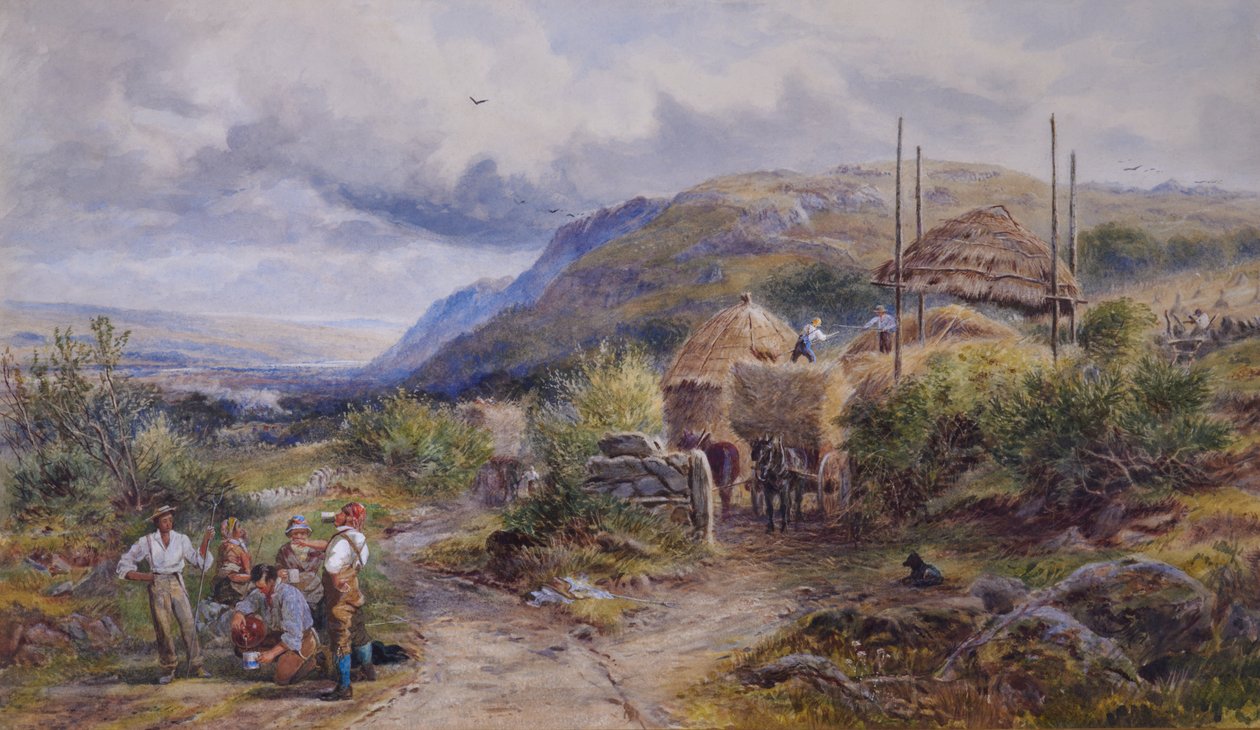Conway Vadisi by J. H. and Cole J. H. Barnes